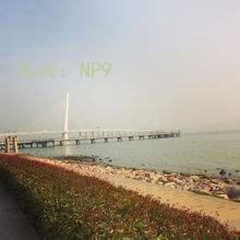 ṹ