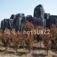 λ