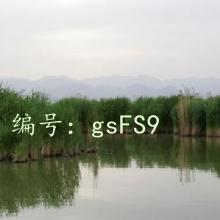 ϸ΢