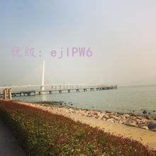 ̬