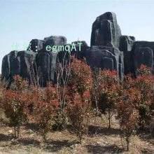 λ