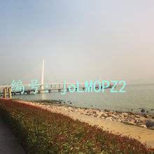ⲿ