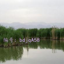 ѧУ