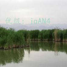 ȷ