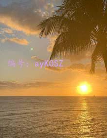 λ