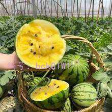 Сħ