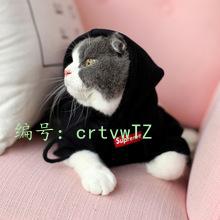 Ȼ
