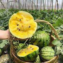 Сħ