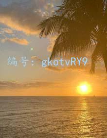 λ