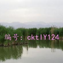 ϸ΢